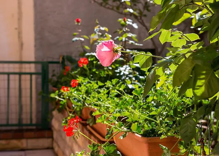 Leila Apartament *