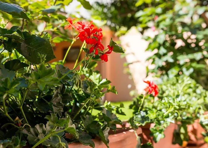 Leila Apartament Mali Lošinj